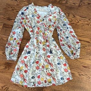 Lined fall boutique dress